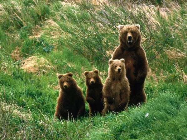 Salvato il Parco Sirente Velino dell’Abruzzo