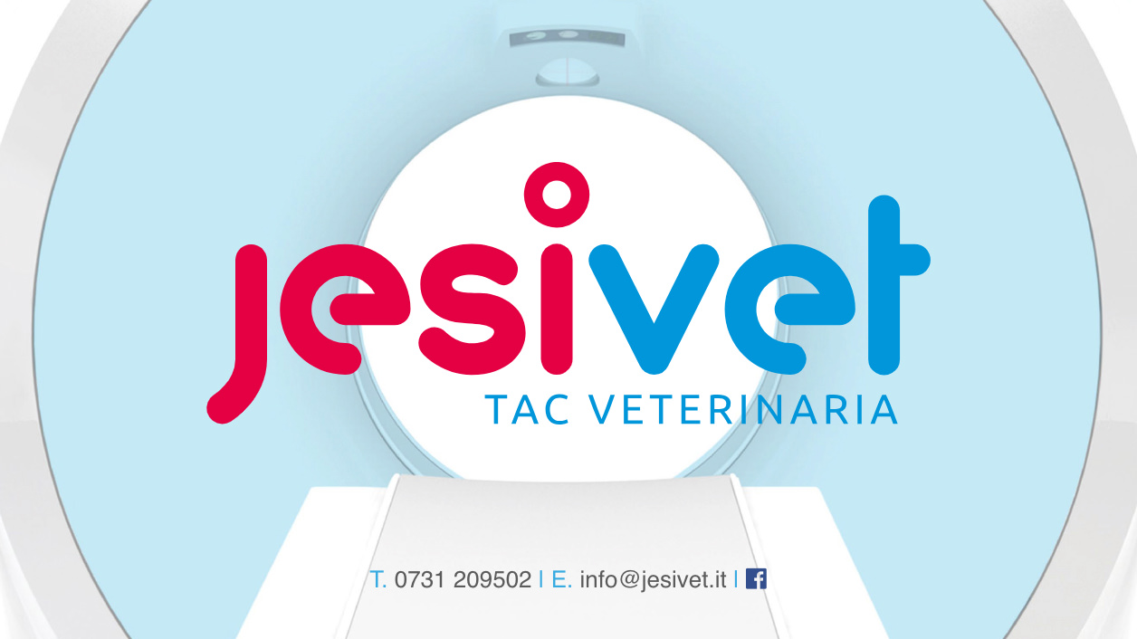 Jesivet, primo centro con TAC e Risonanza magnetica veterinaria in provincia di Ancona