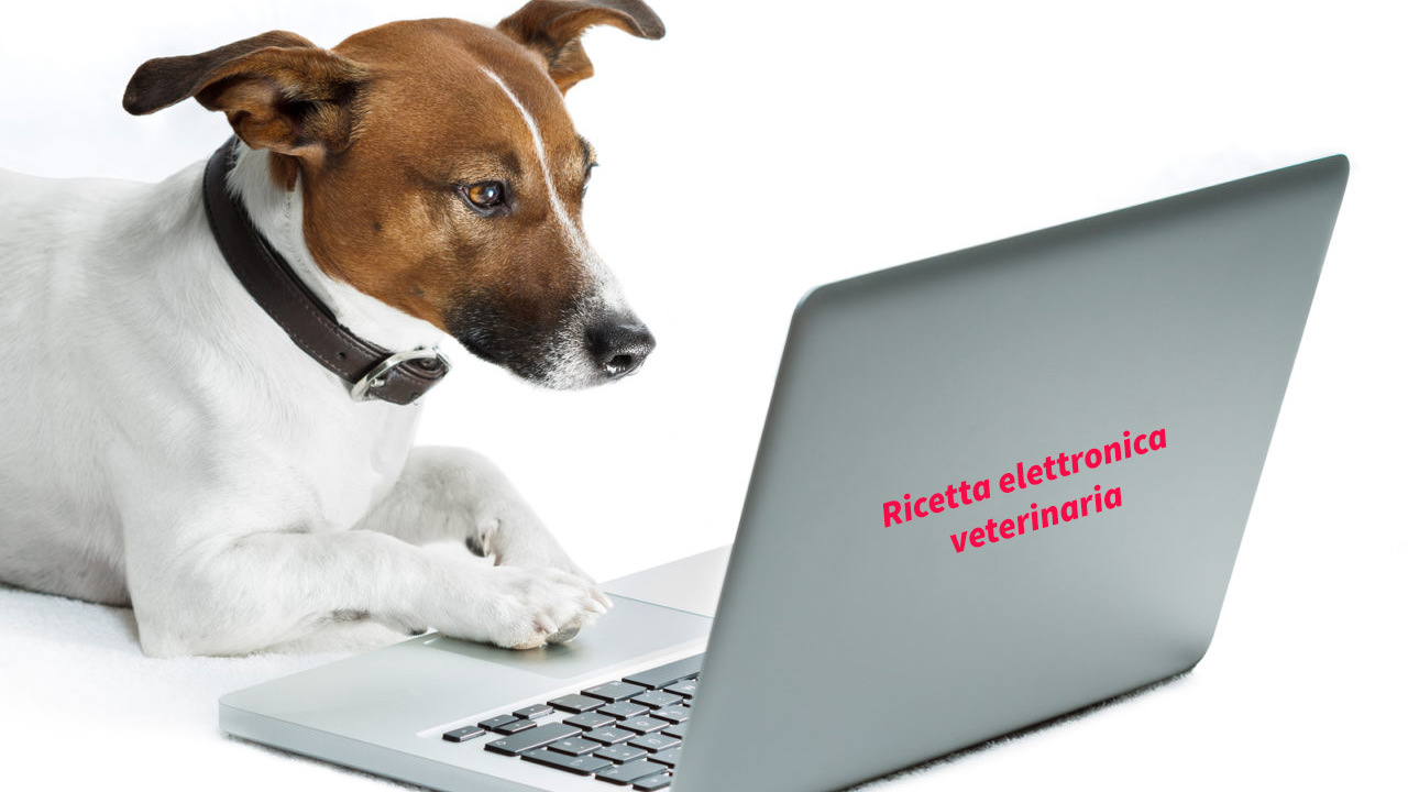 Ricetta elettronica veterinaria (REV): ecco cosa cambia