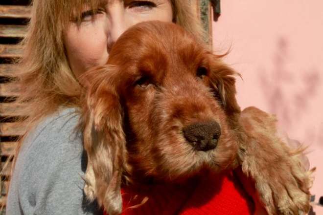 Mignon, il cane gettato nel cassonetto ha trovato casa