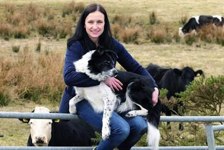 Scozia: mucche salvano cane intrappolato nel fienile