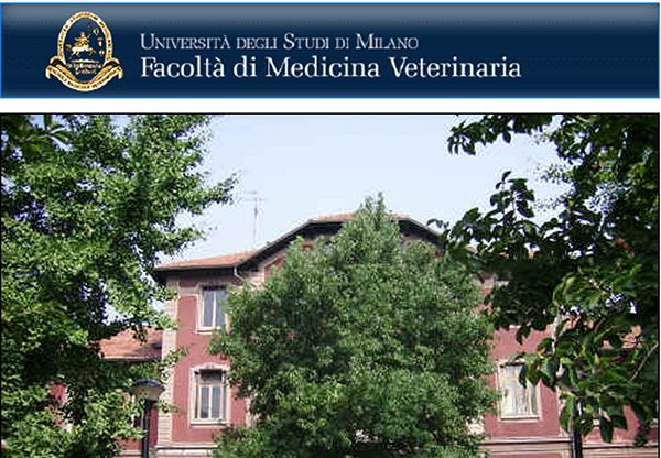 Facoltà Medicina Veterinaria di Milano: arriva l’approvazione EAEVE