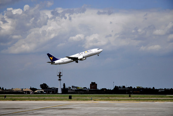 Amsterdam: 10 mila oche uccise per facilitare il trasporto aereo